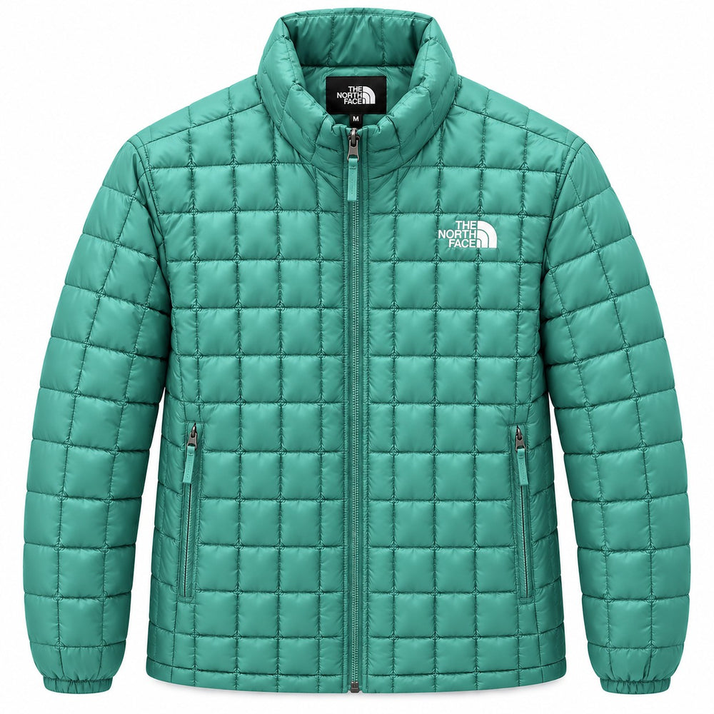 CHAMARRA CABALLERO NORTH FACE NF0A8HEE4H0 VERDE MENTA M